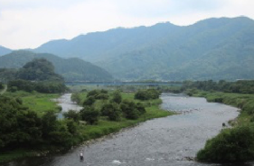 円山川下流地域（風景型）